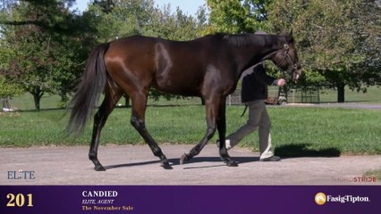 Eclipse Filly Pair Brings Grade I Quality to Fasig-Tipton