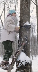 Construction without nails by the hands of a brave girl! 👍🏼