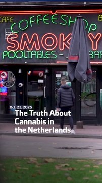The Truth About Cannabis in the Netherlands