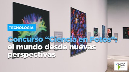 Concurso “Ciencia en Fotos”: el mundo desde nuevas perspectivas