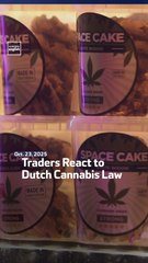 Traders React to Dutch Cannabis Law