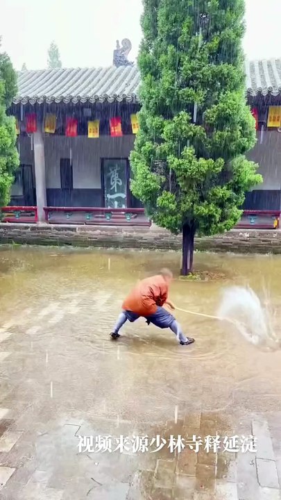 Chinese Kungfu 14