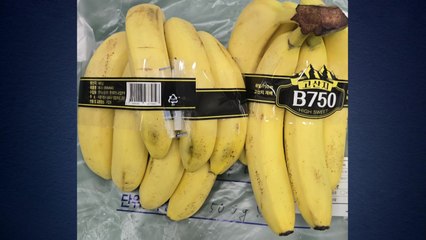롯데마트 베트남산 바나나 '잔류농약 초과 검출'...회수 조치 / YTN