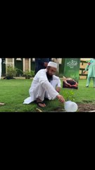 Molana Tariq Jameel Plant Trees, Save Pakistan