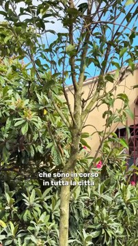 Gualtieri - Sopralluogo in via Pisino, nel V Municipio.. (30.10.25)