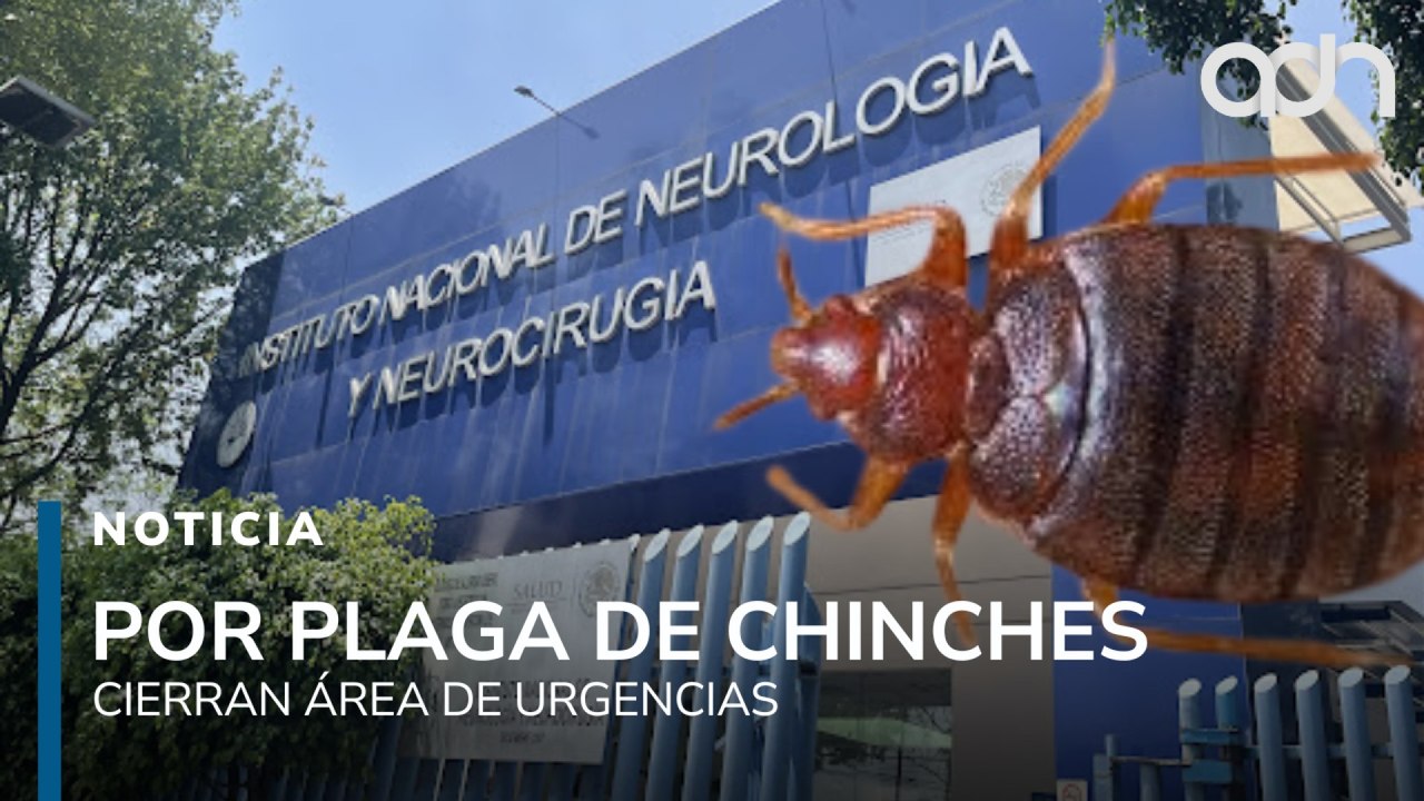 Cierran área de urgencias por plaga de chinches en el Instituto ...