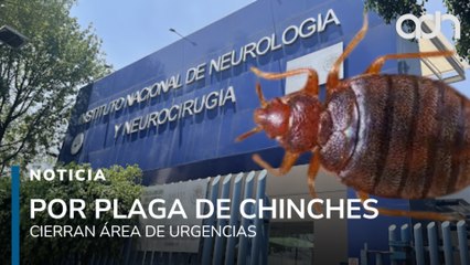 Cierran área de urgencias por plaga de chinches en el Instituto Nacional de Neurología