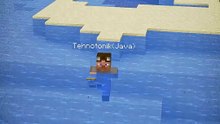 Minecraft Java or Bugrock Doors Moment