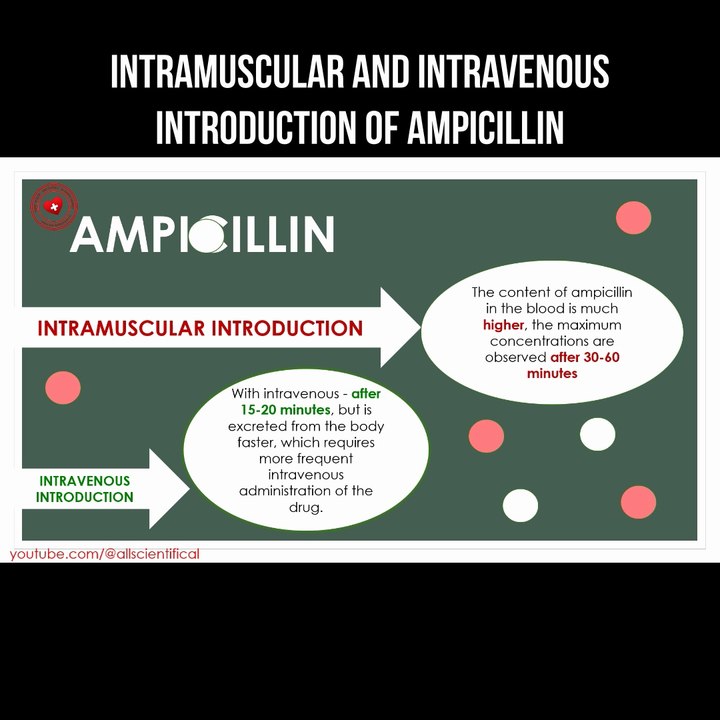 Intramuscular and intravenous introduction of ampicillin