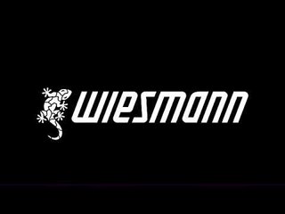 2022 Wiesmann Project Thunderball: Roadster-Sportwagen mit elektrifiziertem V8?