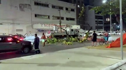 Galho de amendoeira cai e bloqueia a Avenida da Paz durante ventania em Maceió