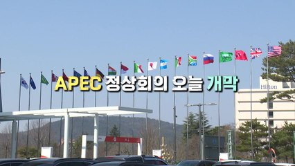 [영상구성] APEC 정상회의 오늘 개막 / YTN