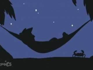 Episode 55: Traveling Gringos