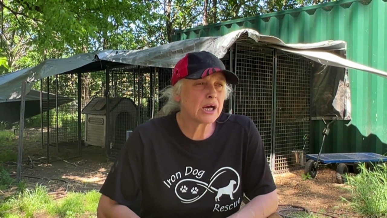 NSW animal shelter under pressure over number of abandoned Rottweilers ...