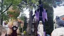 The Wanniassa Halloween House