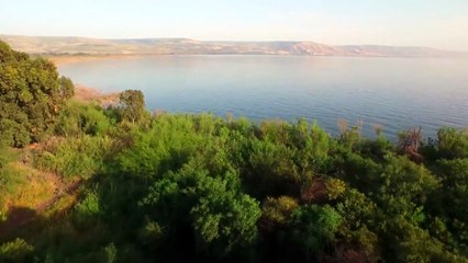 Seguindo o Messias | show | 2017 | Official Trailer