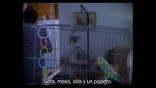 La dimensión desconocida 1985 - Ep.89 - The call ( La llamada )
