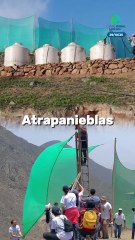 Atrapanieblas, la tecnología que convierte la niebla en agua y salva vidas