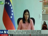 Vpdta. Delcy Rodríguez evaluó la capacidad de producción del sector para la temporada decembrina