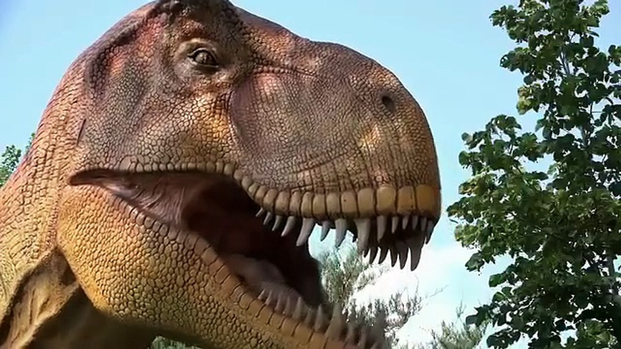 2.6M views · 99K reactions 110 Million Years Old Dinasour Mummy Found 😵😱🤯 #1m #viralvideo #trending #knowledge #zemtv Zem tv