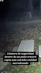 Cámara de seguridad capta aterradora entidad