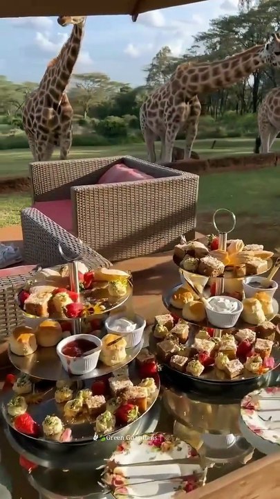 VID-20251Delicion food