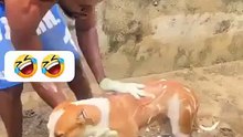 She Love's bathing