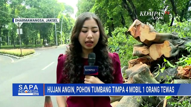 Hujan Deras Buat Pohon Beringin di Jalan Dharmawangsa Tumbang & Timpa 4 Mobil, 1 Orang Tewas
