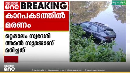 വൈക്കത്ത് കാർ കനാലിൽ വീണ് യുവ ഡോക്ടർ മരിച്ചു
