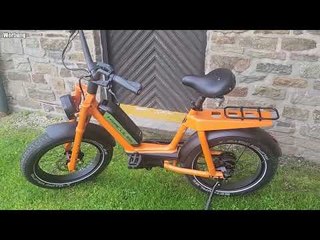 Ausprobiert: Das Hercules Prima 5E E-Bike – was kann der German Design Award Gewinner?