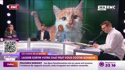 Les choix de la bande : Laisser sortir votre chat peut vous coûter bonbon - 31/10