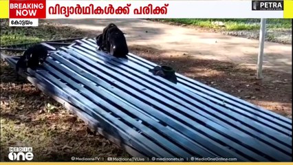 കോട്ടയം പാലായിൽ താത്കാലിക ഗ്യാലറി തകർന്നുവീണ് വിദ്യാർഥികൾക്ക് പരിക്ക്