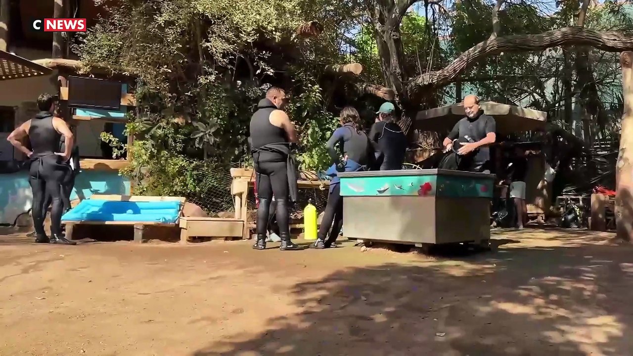 Israël  : Avec les accords de paix (fragiles),  les touristes de retour dans la station balnéaire d'Eilat