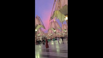 Fajr in Madinah — where hearts find the peace they search for