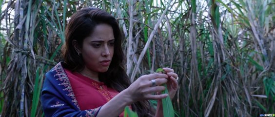 Chhorii 2021 – Full Movie Hindi