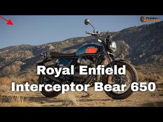 Royal Enfield Interceptor Bear 650: Neuer Scrambler sorgt für Aufsehen!