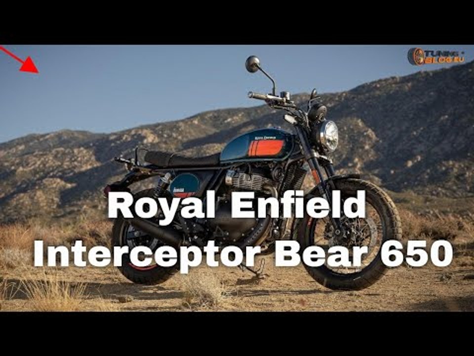 Royal Enfield Interceptor Bear 650: Neuer Scrambler sorgt für Aufsehen!