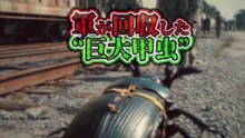 軍が回収した──“巨大甲虫”