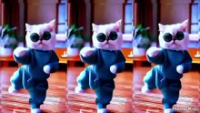 Funny dancing cat Bintang Kecil - Dancing cat - Cute cat - Funny Cat - HANA KIDS