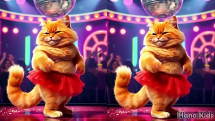 Funny dancing cat Ambil Bulan - Funny cat - Dancing cat - Cute cat - HANA KIDS