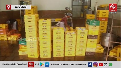 ನಿರಂತರ ಮಳೆಯಿಂದ ಎಲ್ಲೆಡೆ ಹಸಿರು, ಹಾಲು ಉತ್ಪಾದನೆಯಲ್ಲಿ ಹೆಚ್ಚಳ: ರೈತರಿಗೆ ವರದಾನವಾದ ಹೈನುಗಾರಿಕೆ