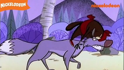 Les Castors Allumés - Les coups de grâce