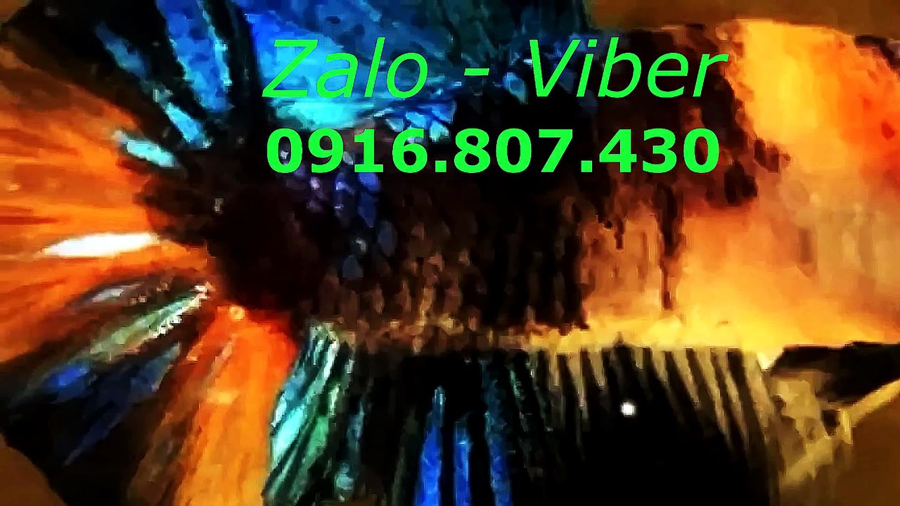 Mux251030133121