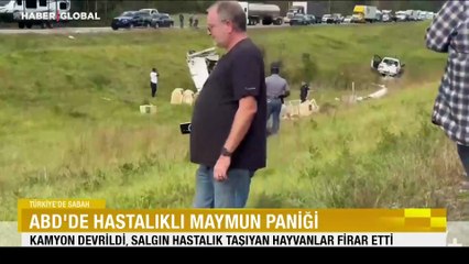 ABD’de hastalıklı maymun paniği! Salgın hastalık taşıyan hayvanlar firar etti