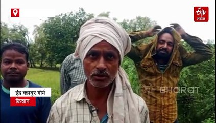 यूपी में मोंथा चक्रवात का कहर; रायबरेली और मिर्जापुर में किसानों की हजारों एकड़ फसल बर्बाद, सरकार से मदद की आस