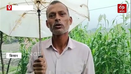 यूपी में मोंथा चक्रवात का कहर; रायबरेली और मिर्जापुर में किसानों की हजारों एकड़ फसल बर्बाद, सरकार से मदद की आस