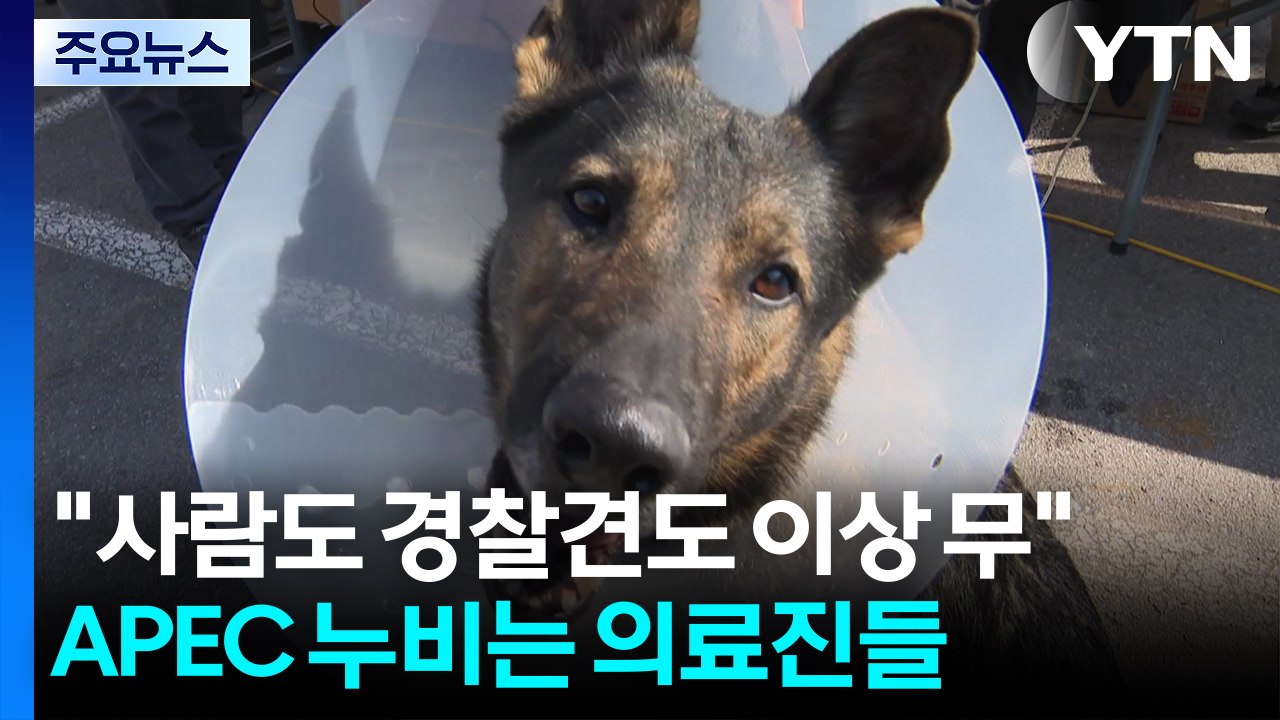 "사람도 경찰견도 이상 무"...APEC 현장 누비는 의료진들 / YTN
