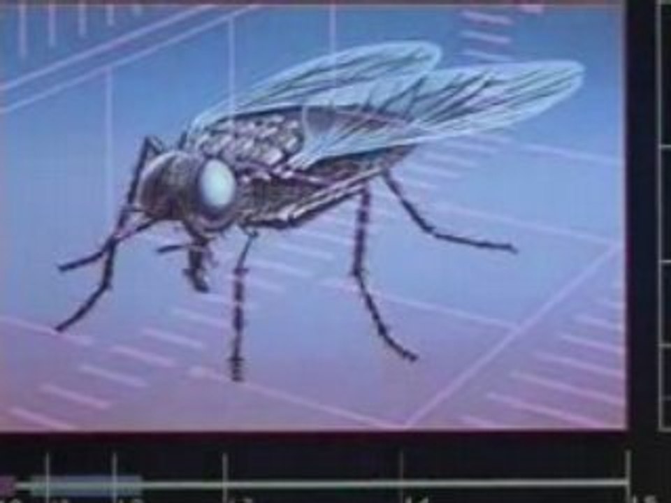 The Fly trailer