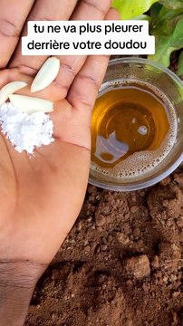 Astuce pour retour d'affection rapide 00229 55818000