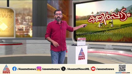 നെല്ല് സംഭരണ പ്രതിസന്ധി; മില്ലുടമകളുമായി ചർച്ച നടത്തുമെന്ന് സർക്കാർ